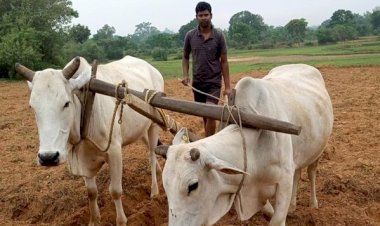 Photo Courtesy: Bhaskar