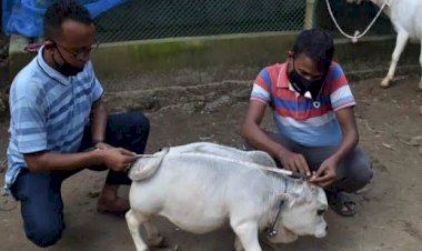 Photo Courtesy: Twitter