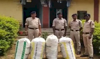 Photo Courtesy: Haribhoomi 