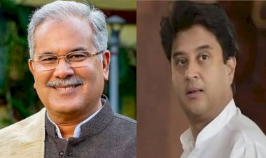 Photo Courtesy: Lifeberrys