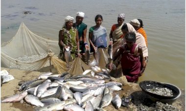 Photo Courtesy: twitter