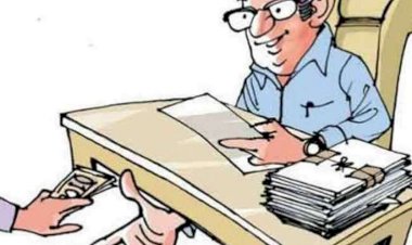 Photo Courtesy: Patrika