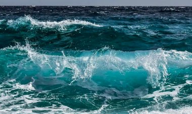 Photo Courtesy : NDTV