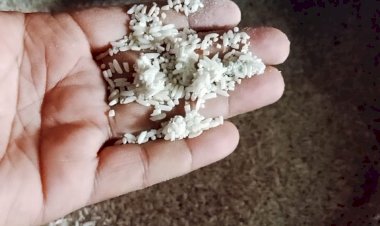 Photo Courtesy: Bhaskar