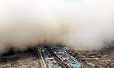 Photo Courtesy: twitter