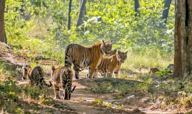 Photo Courtesy: twitter