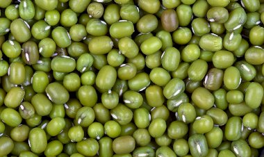 Photo courtesy: Wikipedia