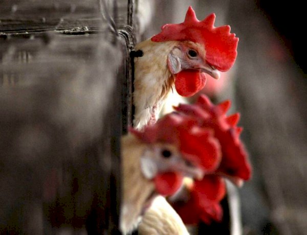 Photo Courtesy: The Indian Express Photo Courtesy: The Indian Express