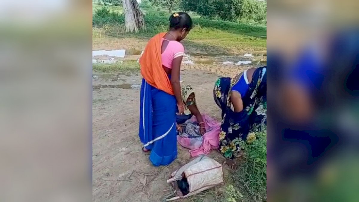 आजादी के जश्न के बीच सड़क पर जन्म लेता देश का भविष्य, नवजात बच्चे ने दिया MP के बदहाल सड़कों का प्रमाण आजादी के जश्न के बीच सड़क पर जन्म लेता देश का भविष्य, नवजात बच्चे ने दिया MP के बदहाल सड़कों का प्रमाण