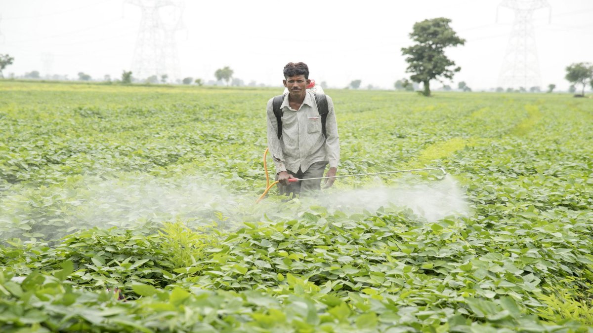 सिवनी में धडल्ले से बिक रहा प्रतिबंधित कीटनाशक, कई ग्रामीणों की तबीयत हुई खराब सिवनी में धडल्ले से बिक रहा प्रतिबंधित कीटनाशक, कई ग्रामीणों की तबीयत हुई खराब