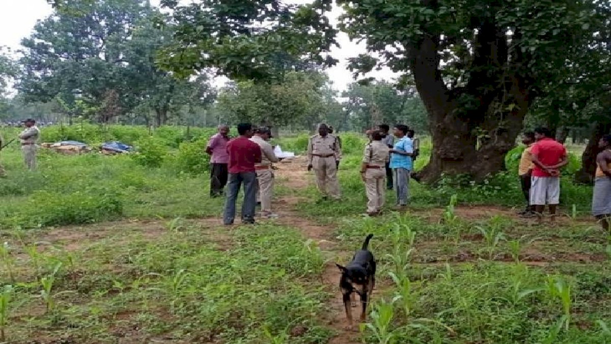 झोपड़ी में सो रहे तीन लोगों को हाथियों ने कुचला, दादा दादी और पोते की मौत झोपड़ी में सो रहे तीन लोगों को हाथियों ने कुचला, दादा दादी और पोते की मौत