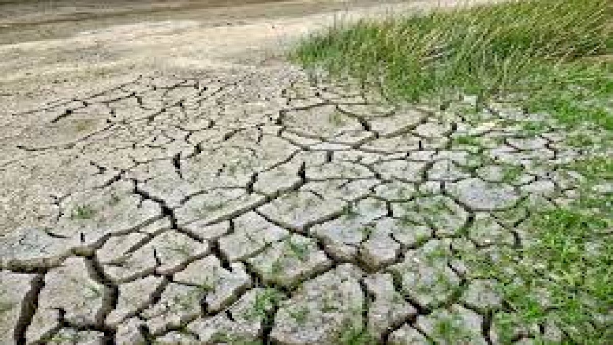 सूखे की कगार पर छत्तीसगढ़ के 24 जिले, प्रदेश में औसत से 15 प्रतिशत कम हुई वर्षा सूखे की कगार पर छत्तीसगढ़ के 24 जिले, प्रदेश में औसत से 15 प्रतिशत कम हुई वर्षा
