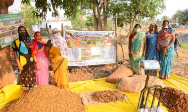 Photo Courtesy:  chhattisgarhaaj