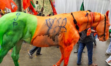 Photo Courtesy : Twitter 