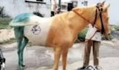 Photo Courtesy: Social media 