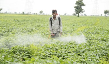 Photo Courtesy: chemistry world