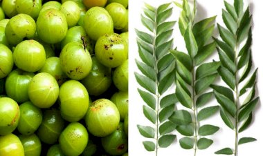 Photo Courtesy: boldsky hindi