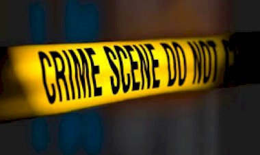 Photo Courtesy:  helping media