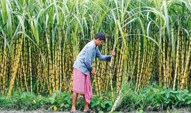 Photo Courtesy : Livemint.com 