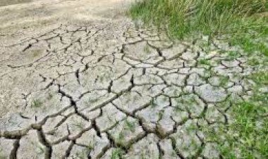 Photo courtesy: news on floor