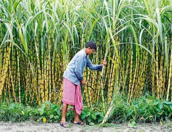 Photo Courtesy : Livemint.com 