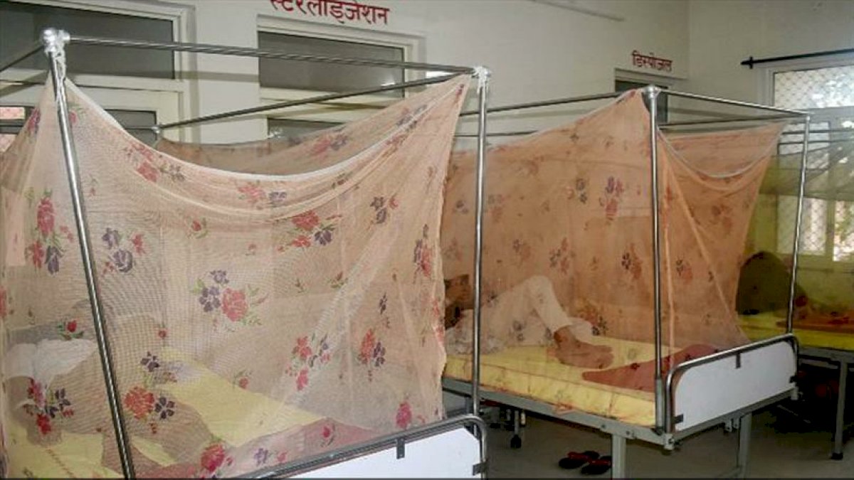 बुखार से बेहाल यूपी के एक अस्पताल में 171 बच्चे हुए भर्ती, इंसेफेलाइटिस बीमारी ने प्रयागराज को भी जकड़ा बुखार से बेहाल यूपी के एक अस्पताल में 171 बच्चे हुए भर्ती, इंसेफेलाइटिस बीमारी ने प्रयागराज को भी जकड़ा