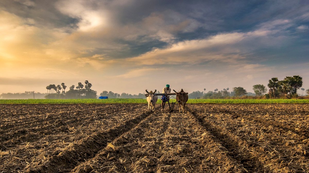 किसान आंदोलन: धरती माता के यहां रिश्वत नहीं चल सकती ! किसान आंदोलन: धरती माता के यहां रिश्वत नहीं चल सकती !