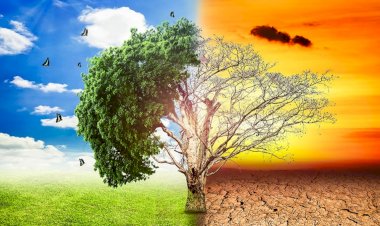 Photo Courtesy: Azocleantech.com