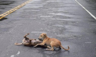 Photo Courtesy : India Today