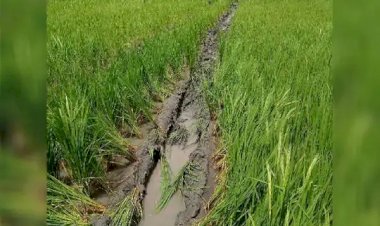 Photo courtesy: Bhaskar