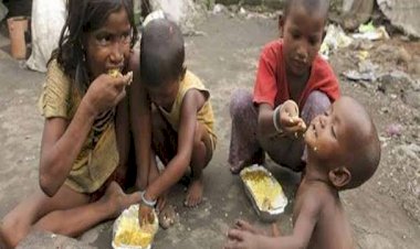 प्रतिकात्मक तस्वीर 