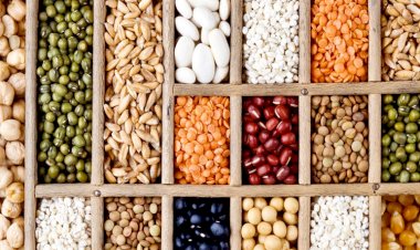 Photo Courtesy : krishi Jagat 