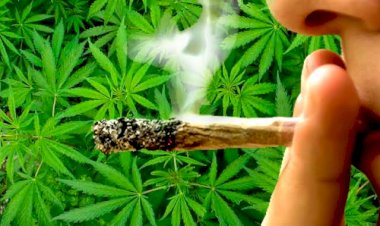 Photo Courtesy: Lokmat News 