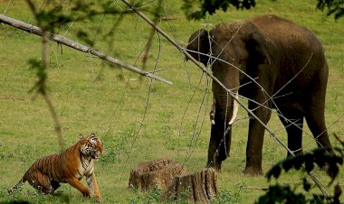 Photo Courtesy: Quora