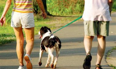 Photo Courtesy: twitter