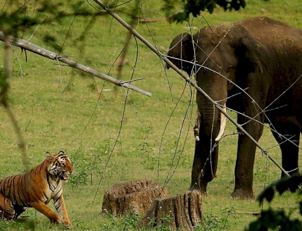 Photo Courtesy: Quora Photo Courtesy: Quora