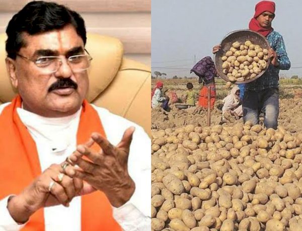 दो रुपए किलो आलू बेचने को मजबूर किसान, कृषि मंत्री बोले- बेच क्यों रहे हो, चिप्स की फैक्ट्री खोल दो