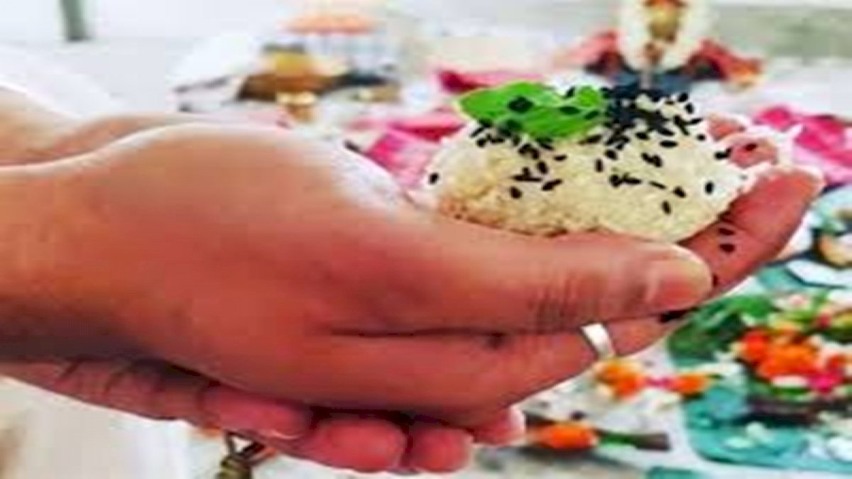 सर्वपितृमोक्ष अमावस्या पर करें पितरों का श्राद्ध, मिलेगी पितृदोष से मुक्ति सर्वपितृमोक्ष अमावस्या पर करें पितरों का श्राद्ध, मिलेगी पितृदोष से मुक्ति