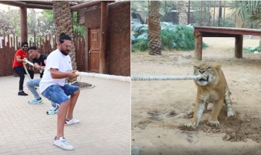 Photo Courtesy: Instagram