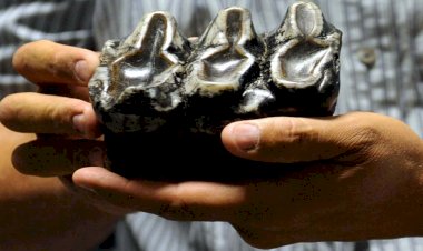 Photo Courtesy: twitter