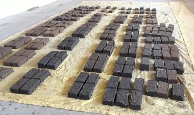 Photo courtesy: Free Press Journal