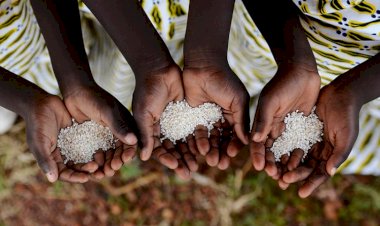 Photo courtesy: The digital health