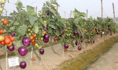 Photo courtesy: Instagram