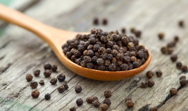 Photo Courtesy: master class