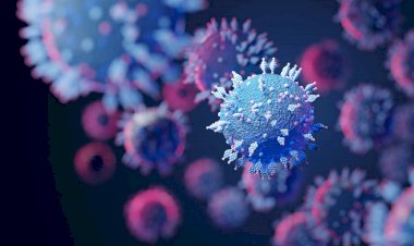 Photo Courtesy: Gavi, the Vaccine Alliance