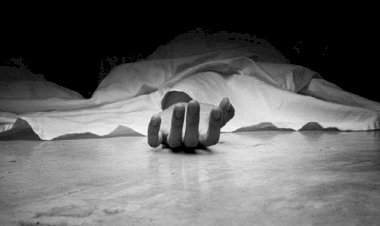 Photo Courtesy: the telegraph 