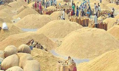 Photo Courtesy: Patrika