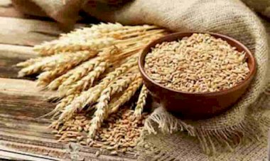 Photo Courtesy: wellkin.co.in