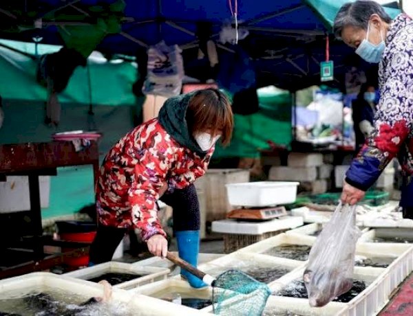 Photo Courtesy: BBC Photo Courtesy: BBC