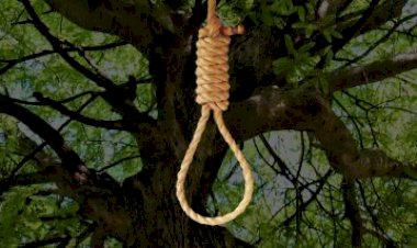 Photo Courtesy: Latestly